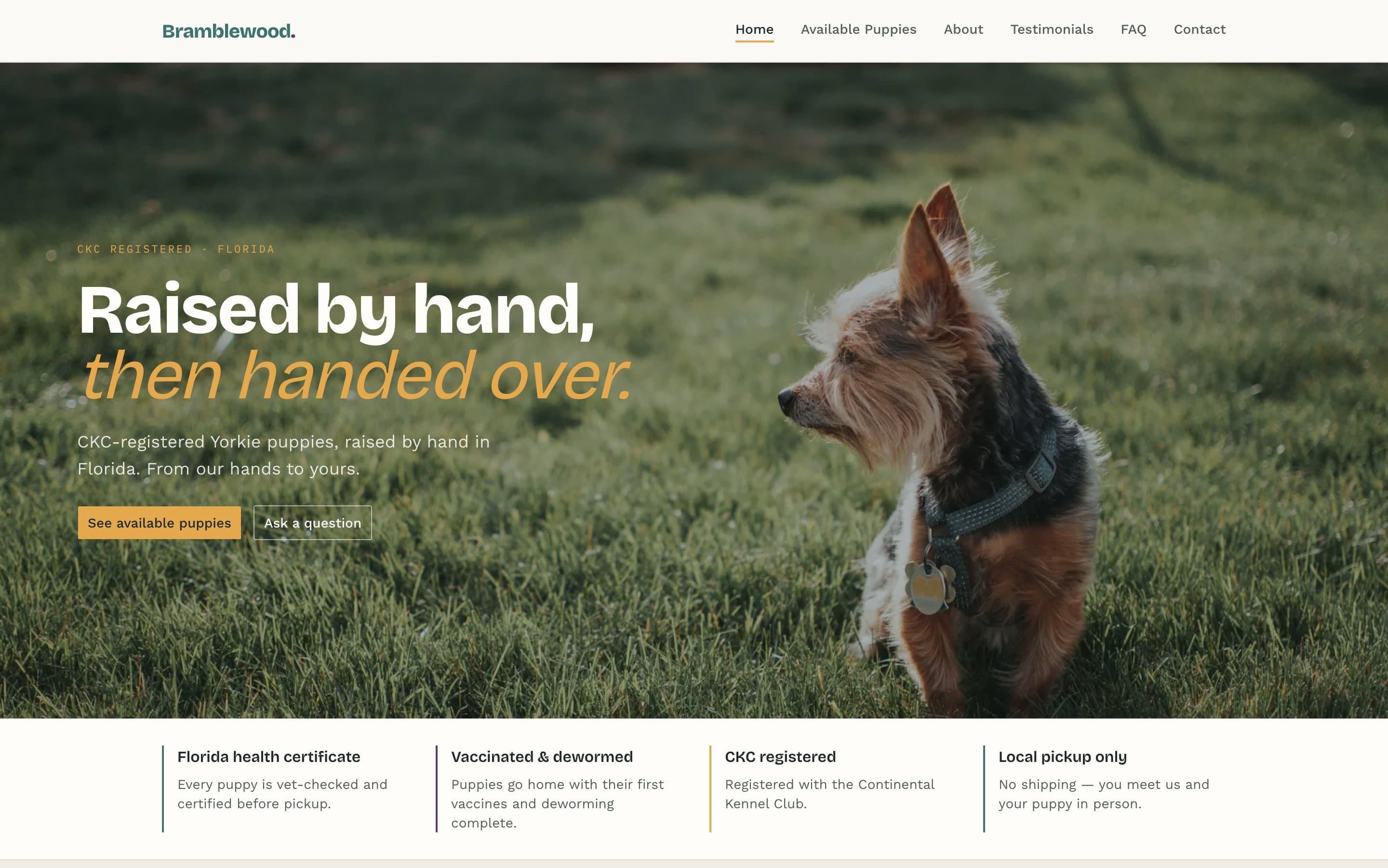 Screenshot of the Bramblewood Yorkies website